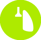 icon depicting a lung